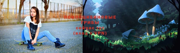 мяу мяу мука Армянск