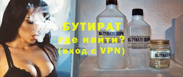 индика Аркадак