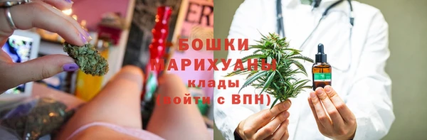 индика Аркадак