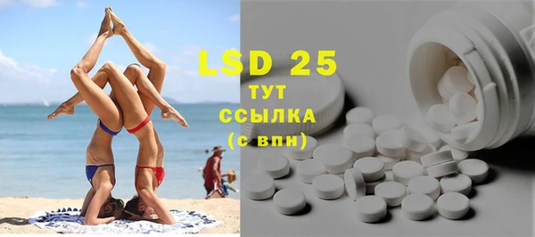 индика Аркадак