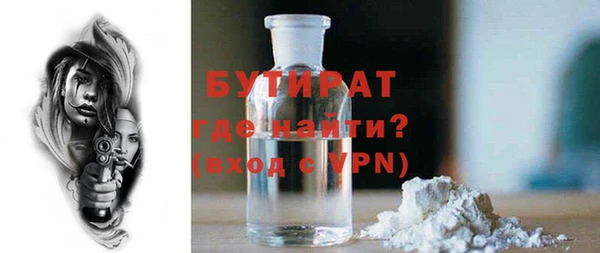индика Аркадак