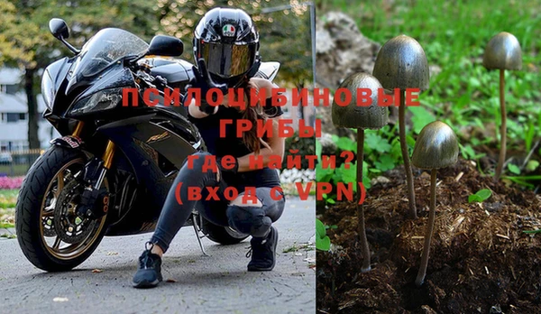 мяу мяу мука Армянск