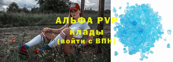индика Аркадак