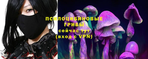 индика Аркадак
