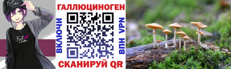 площадка какой сайт  Артёмовск  Псилоцибиновые грибы мицелий 