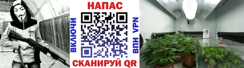 Бошки Шишки VHQ  Артёмовск 